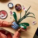 LEGO Icons Orchidea 10311 Piękne kwiaty